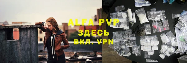 СК Алексин