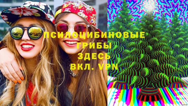 наркотики Алексеевка