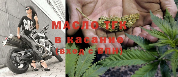 СК Алексин