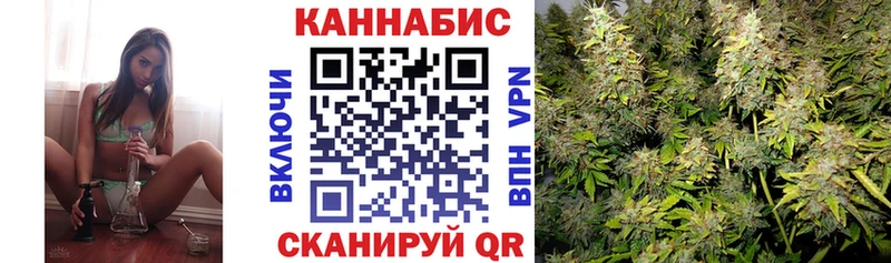 закладка  Порхов  Каннабис Amnesia 
